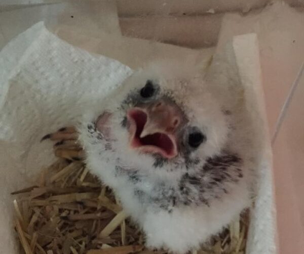 10384749_10153270807928070_3986050989975578024_n