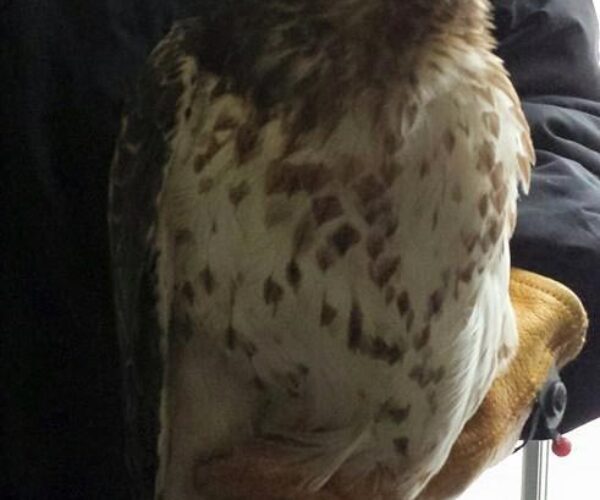 10420218_10153130413198070_9008159550358366572_n