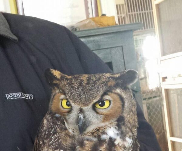 10430483_10153020416478070_903456935878014107_n