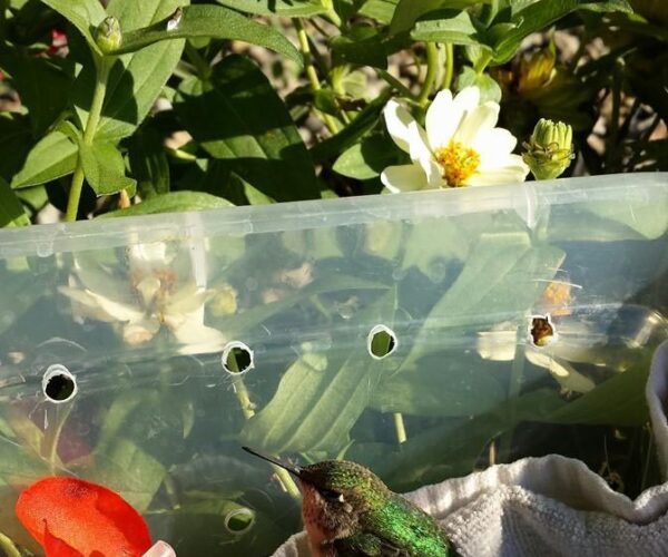 10703968_10152683008603070_5793811367399814994_n