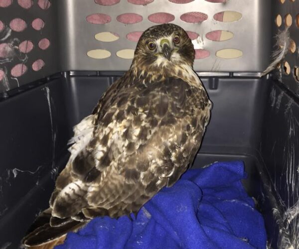 10885551_10152911713933070_1974321905413857230_n