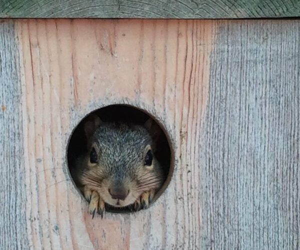 11046744_10153094831518070_4215438404749164346_n