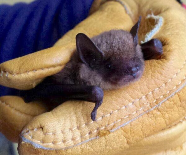 11053613_10153135536248070_916601767100451952_n