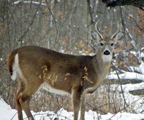 12304438_10153703395653070_5329800715707738767_o