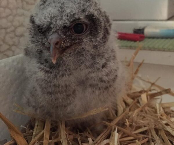 13486_10153270807998070_7332812825961395111_n