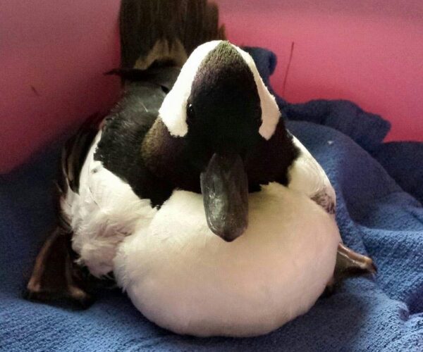 14715_10153139934518070_7815698771456397369_n