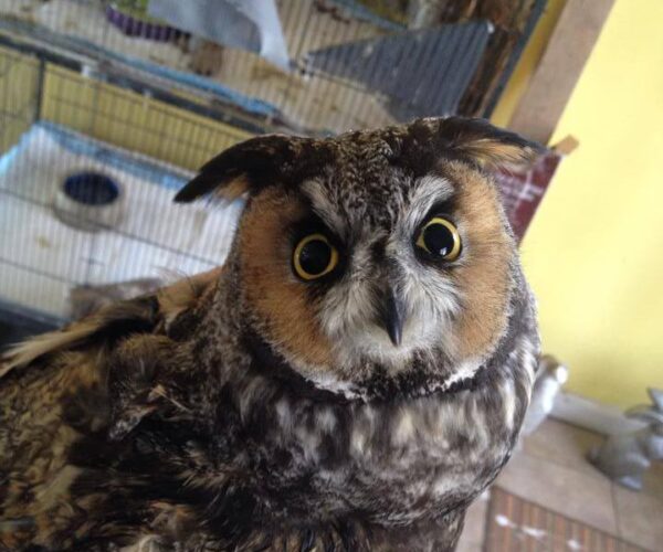 1525612_10152098236673070_1401238410_n