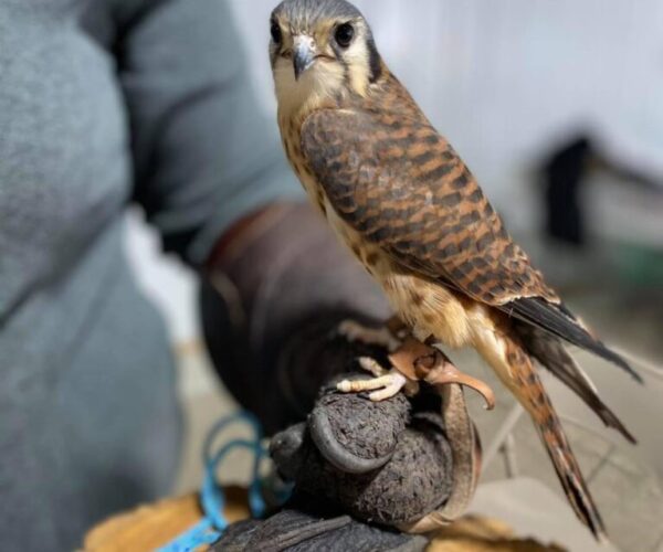 180713085_10158958864008070_912595653217025508_n (1)