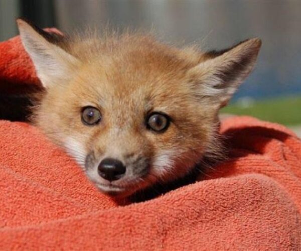 1917130_178912633069_7688245_n