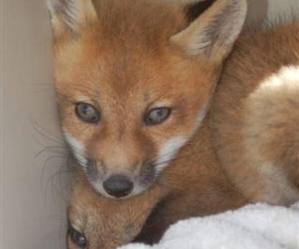 1917130_178912648069_2976661_n