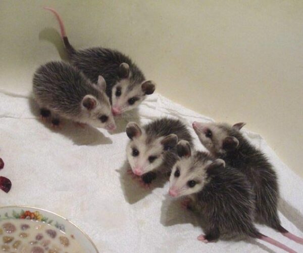 1917130_178912758069_5842723_n