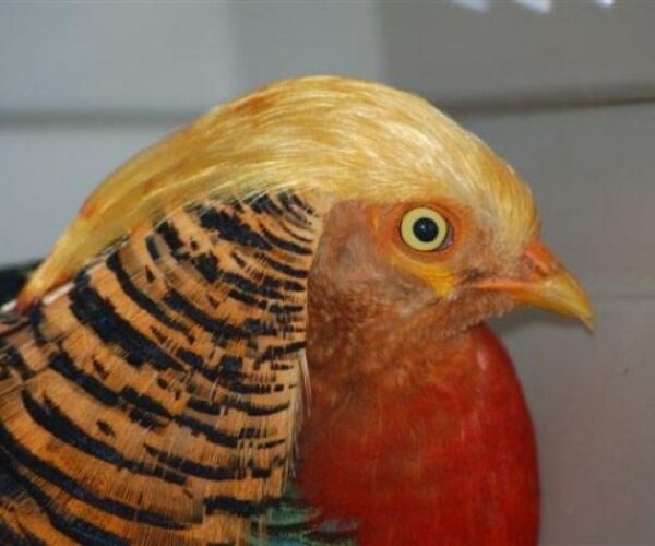 1917130_178912788069_2700010_n