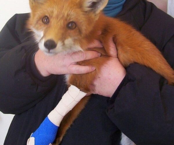 1917130_178912833069_3444247_n