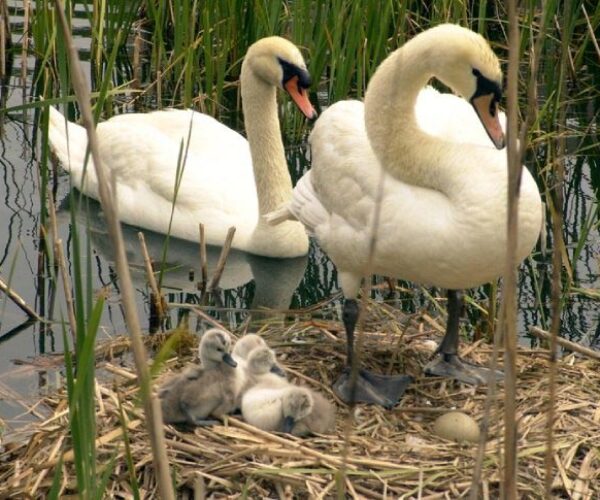 1917130_178912928069_7583893_n