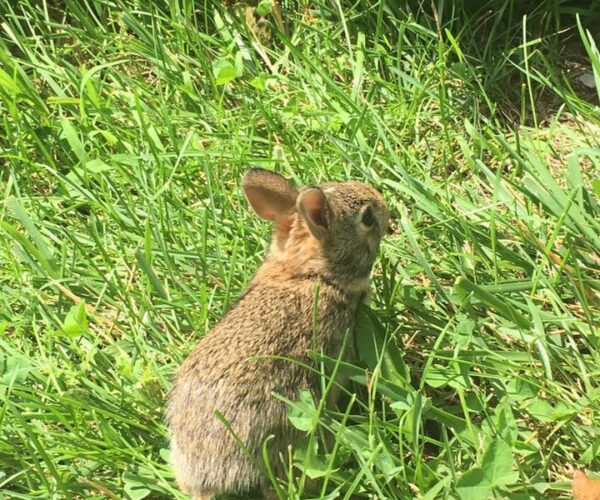 19961375_10155386623943070_9183115066808555468_n