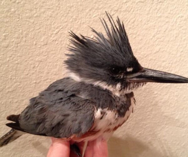 205371_10151479349583070_224490758_n