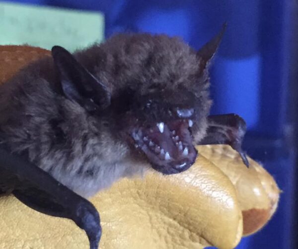 20841948_10155485934088070_955944594306818996_n