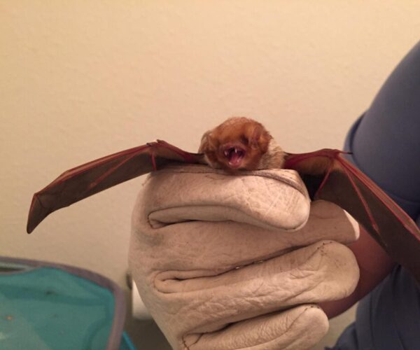 20900951_10155485933783070_3299811744432361326_o