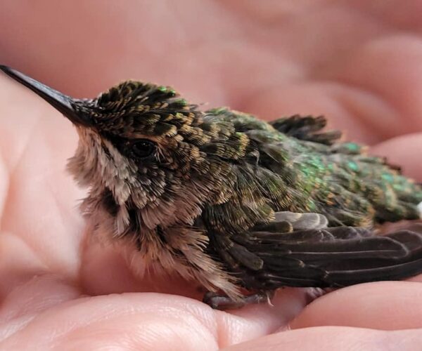 242029116_10159221493358070_6818109849353837546_n