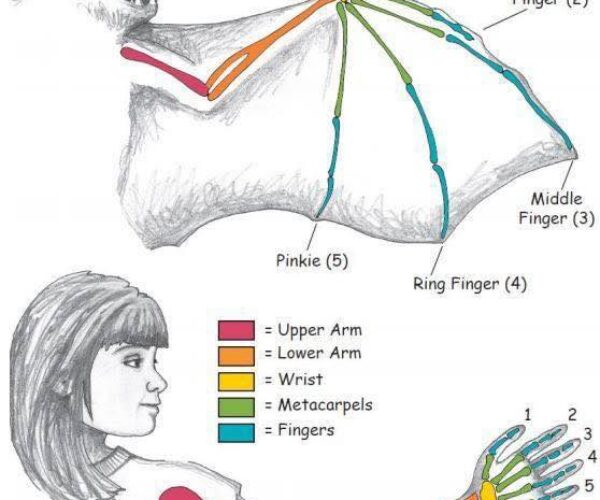 249222323_10159292910168070_8957923825650918482_n