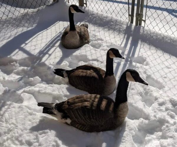 273386673_10159459839163070_7204338536724773302_n