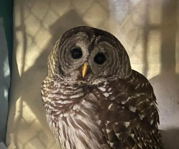 273932385_10159469782463070_2632492359911618589_n (1)