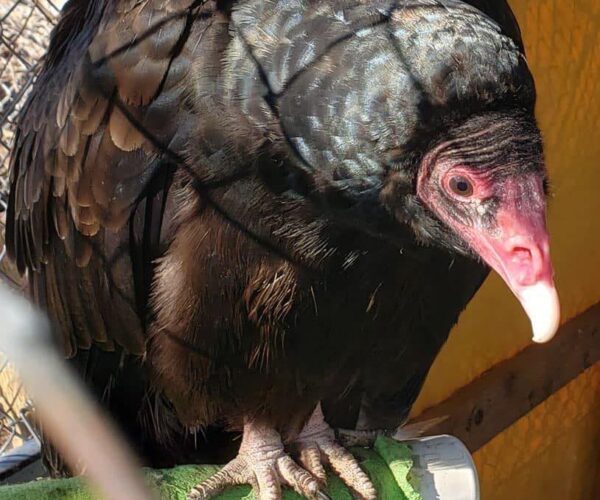 292238046_10159708873318070_1275759807574496356_n (1)