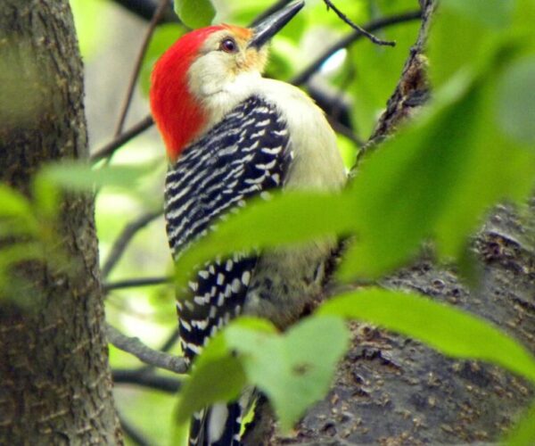 308338397_10159819831573070_271605652422884762_n (1)