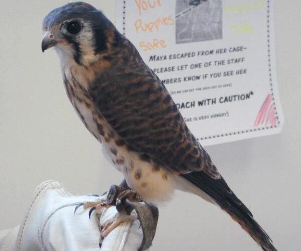 394902_10151318970823070_1635819049_n