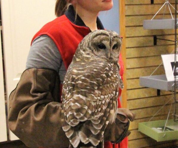 45214488_10156599791083070_8440202961090510848_n