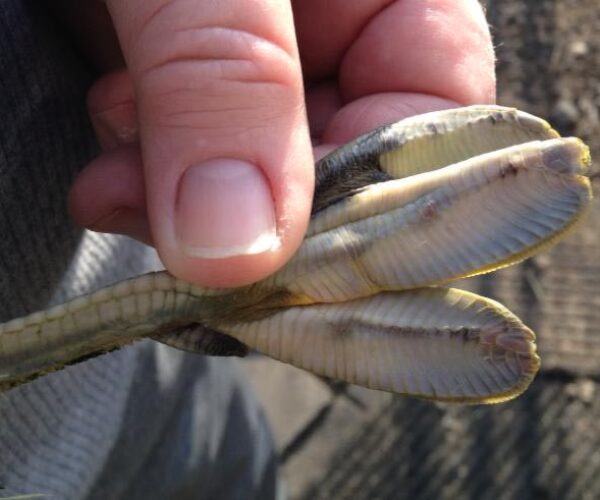 62125_10151410987223070_2068037442_n