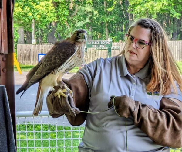 af37083a-92d7-4420-a7a9-08eeb93f6c1f